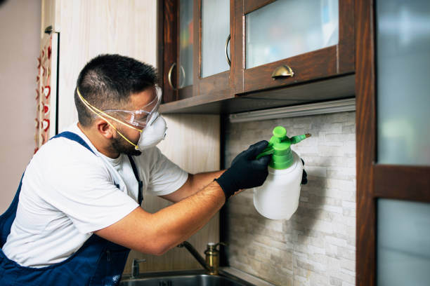 Best Best Pest Control Companies  in Ben Bolt, TX