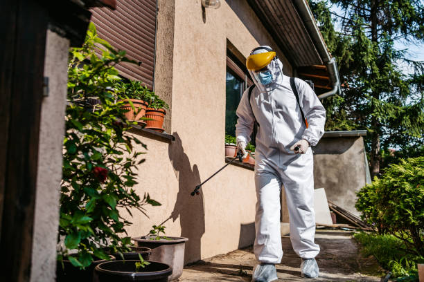 Best Exterminator Services  in Ben Bolt, TX