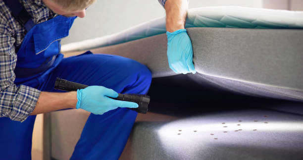 Best Best Pest Control Companies  in Ben Bolt, TX