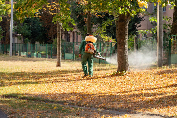 Best Commercial Pest Control Services  in Ben Bolt, TX