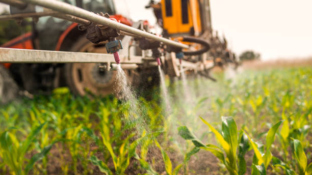 Pest Prevention Services in Ben Bolt, TX